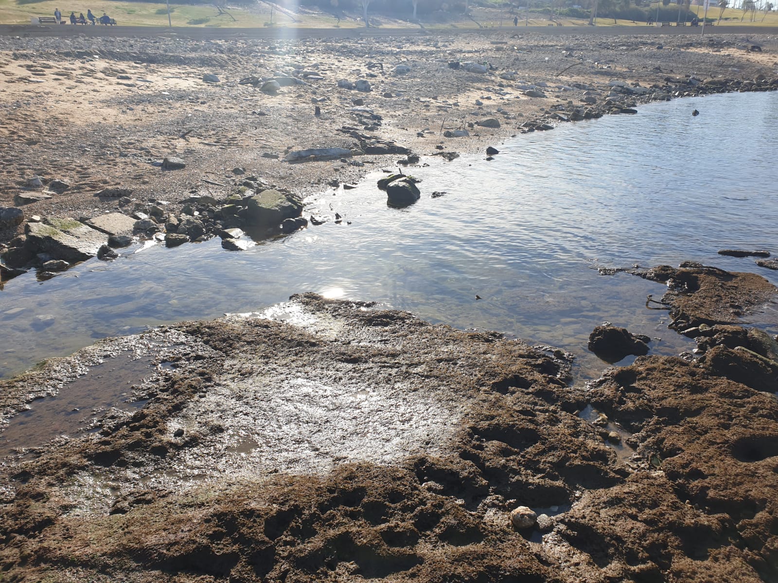 WhatsApp Image 2020-01-27 at 9.04.59 AM.jpeg.jpeg